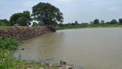 Revival of Chandela tanks
in Madhya Pradesh. IWRM. Welthungerhilfe, India